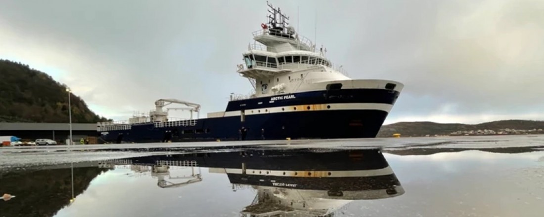 Arctic Pearl er det tidligere fartøyet Ocean Duke som nå skal bygges om for å høste Haneskjell. 
